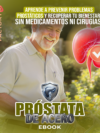 PROSTATA DE ACERO